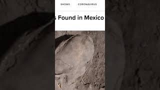 ALIEN LOOKING Skull DISCOVERED in Mexico #shorts #alien