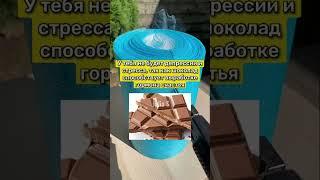 ЧТО БУДЕТ ЕСЛИ ЕСТЬ ШОКОЛАД КАЖДЫЙ ДЕНЬ