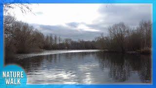 Walking by the lake as winter approaches Nature Visualizer