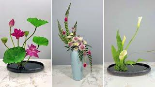 Easy Diwali Home Decoration Ideas Creative Plant Arrangements