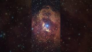 The Gum 41 Nebula A Cosmic Red Stellar Nursery 7300 Light Years Away #shorts