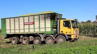 New Holland FR 920 mit Ginaf LKW im Mais.