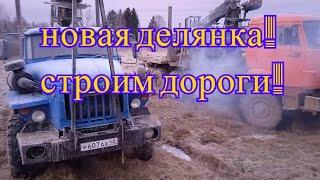 новая делянка строим дороги #Лесовозы