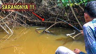 MANCING DIBAWAH TUMPUKAN PELEPAH M4TI JADI SARANG IKAN BESAR 