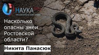 Насколько опасны змеи Ростовской области?  Лекции по зоологии – биолог Никита Панасюк  Научпоп
