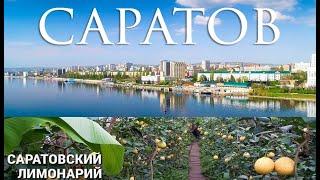 Саратов достопримечательности Лимонарий  Saratov attractions Lemonary