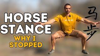 Why I Stopped Training The HORSE STANCE & Answering Common Questions