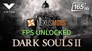 Dark Souls 2 165FPS Framerate Unlimiter  + Lighting Engine Mod