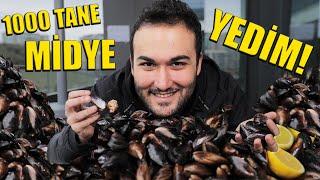 1000 TANE MİDYE YEDİM