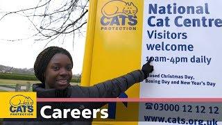 Introduction working for Cats Protection – Careers with cats episode one