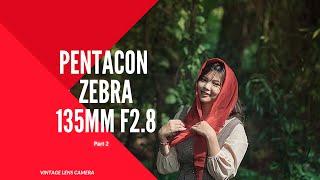 #42 Pentacon 135mm f2.8 zebra 15 blades - Portrait & Bokeh Monster  Meyer Orestor - Part 2