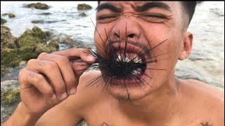 Sea UrchinTuyom Mukbang-Boy Ogom