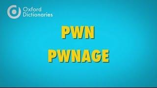 What does pwn mean?