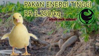 Pakan Alternatif Bebek Peking. Rp. 1.250kg