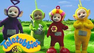 Teletubbies English Episodes Circus  Full Episode - NEW Season 16 HD S16E116