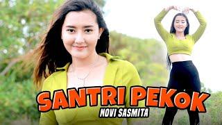 Novi Sasmita X Bajol Ndanu - Santri Pekok Official Music Video