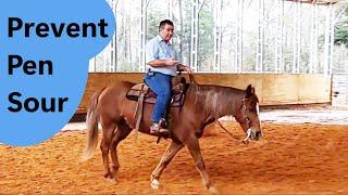 How to prevent your horse from becoming pen sour