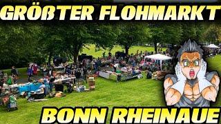 GRÖßTER FLOHMARKT Deutschlands  Bonn Rheinaue - Reselling Vlog Ausbeute Eindruck  Black Rabbit