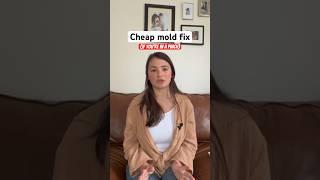 If you only have $100 to fix your mold problem … #moldremediation #moldtoxicity