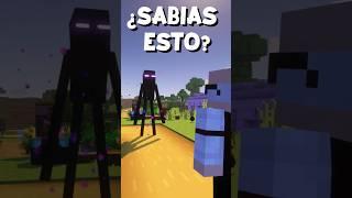 ¿Sabías esto de los Endermans?