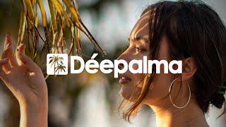 Momo Khani & Meindel - Tear Drop Déepalma Ibiza 2024