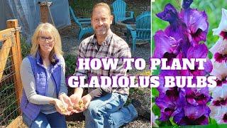 How to Plant Gladiolus Bulbs 