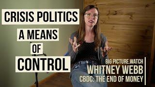 CRISIS POLITICS A Means of Control  Whitney Webb  BIG PICTURE