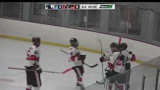 Zac Bell Hockey Season Highlights 2018-2019  Binghamton Senators 