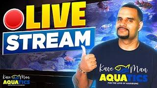 First Livestream From the FishKave - Lets Hang Out