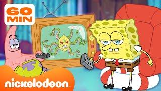 Spongebob  Setiap acara TV di Bikini Bottom  Nickelodeon Bahasa