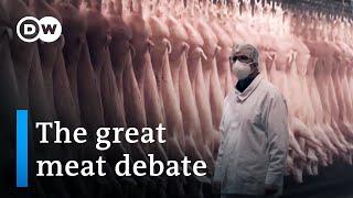 Factory farming animal welfare and the future of modern agriculture  DW Documentary