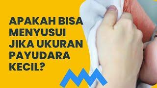 Ukuran Payudara Kecil Apakah Bisa Menyusui - Seputar Susu