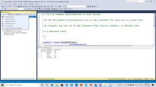 20.SSIS TUTORIAL -  OLE-DB COMMAND TRANSFORMATION - DELETE  STATEMENT - HINDI