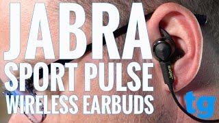 Product Review Jabra Sport Pulse Wireless Earbuds