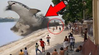 You Wont Believe This A Enormous Shark Erupts from the Ocean – What Happens Next Will Shock You