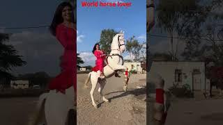 Haryana Girl horse rde. indian girl horse ride. imkavy horse eide. #horse #horsegirl #ghoda #horses.
