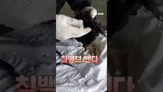 SS기 갸브레타 청소