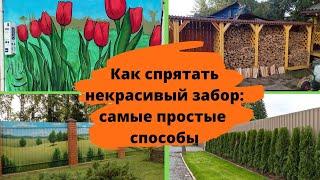 Как спрятать некрасивый забор самые простые способы