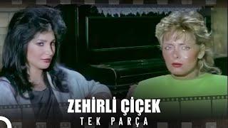 Zehirli Çiçek  Eski Türk Filmi İzle Restorasyonlu