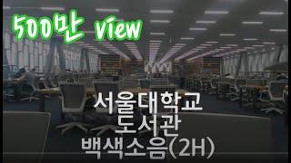 서울대학교 도서관 백색소음 2시간