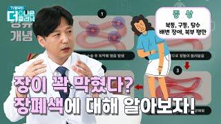 이 증상이 나타나면 장폐색 의심? 장폐색증의 모든 것