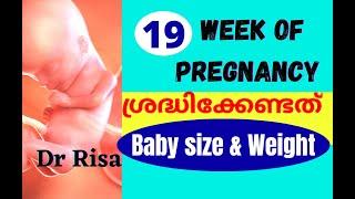 Pregnancy Week by Week Malayalam  19 Weeks Pregnancy