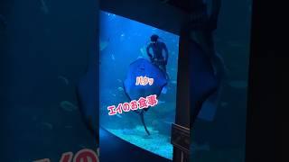 久しぶりに京都水族館に行って来た