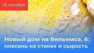 Новый дом на Вильямса 6 плесень на стенах и сырость