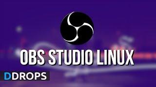 Como instalar o OBS Studio no Linux Mint Ubuntu