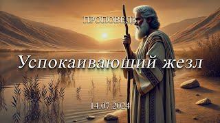 Проповедь Успокаивающий жезл Иван Радченко