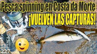 ️️️ PESCA SPINNING EN COSTA DA MORTE Galicia ¡¡ vuelven  las capturas  ️️️