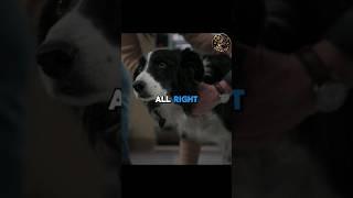 They saved the dog #series #movie #shortvideo #thegooddoctor #shorts #asmr #dog