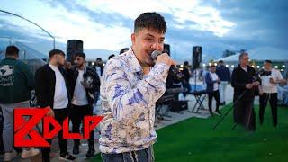 Bogdan DLP - Habibi  Live
