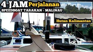 Melelahkan 4 Jam Speedboat Tarakan - Malinau Terabas Hutan Kalimantan Utara